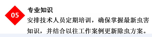 專業(yè)殺蟲公司